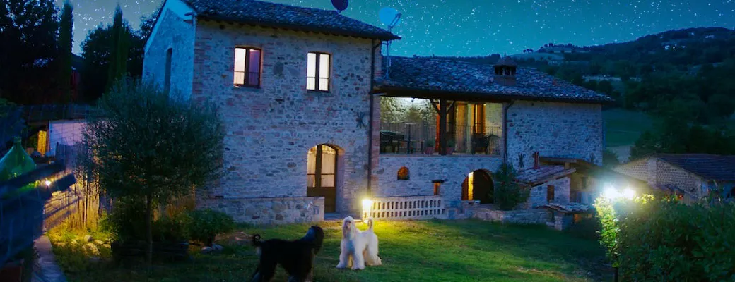 View of the farmhouse